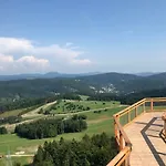 Alpejskie Domy Ski House
