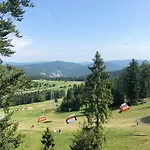 Alpejskie Domy Ski House