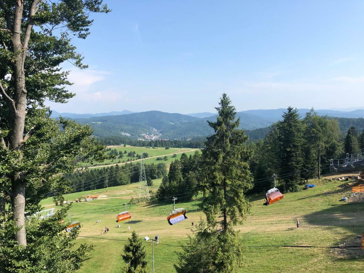 Domek alpejski Alpejskie House Krynica-Zdrój